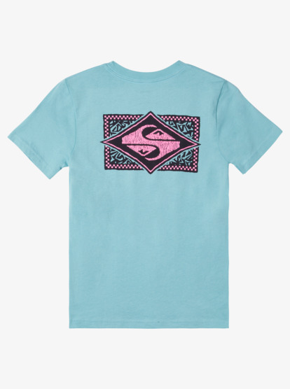 flash tshirt boys