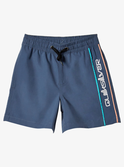 Boys 2-7 Everyday Vert Volley Swim Shorts | Quiksilver