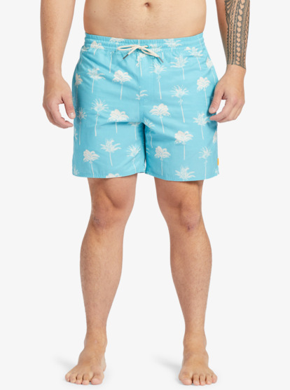 Cliffside 17" - Swim Shorts for Men  AQMJV03096
