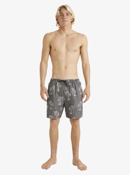Cliffside 17" - Swim Shorts for Men  AQMJV03096