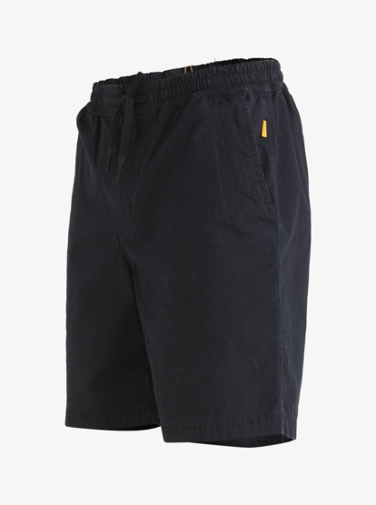 Quiksilver deals waterman shorts