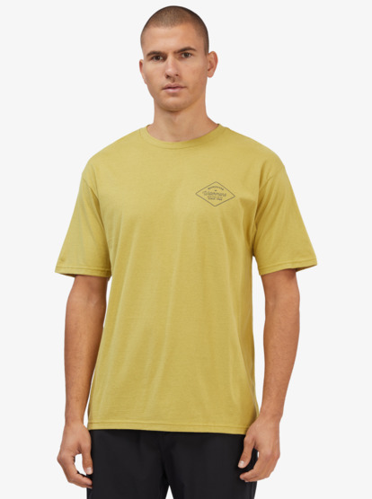 quiksilver waterman t shirt
