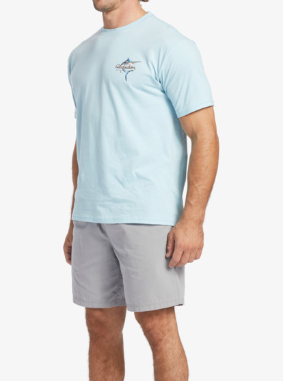 Waterman Beauty At Sea T-Shirt | Quiksilver