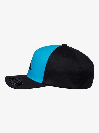Mountain And Wave Flexfit Hat | Quiksilver