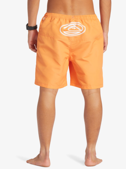 Flight Volley 18" - Swim Shorts for Men  AQYJV03128