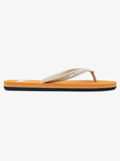 Molokai - Flip-Flops for Men  AQYL100601