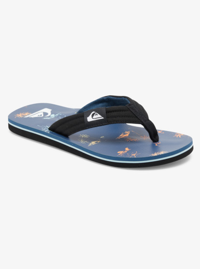 Molokai Layback - Flip-Flops for Men  AQYL101241