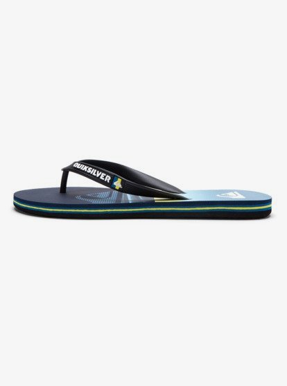 Molokai Panel - Flip-Flops for Men  AQYL101263