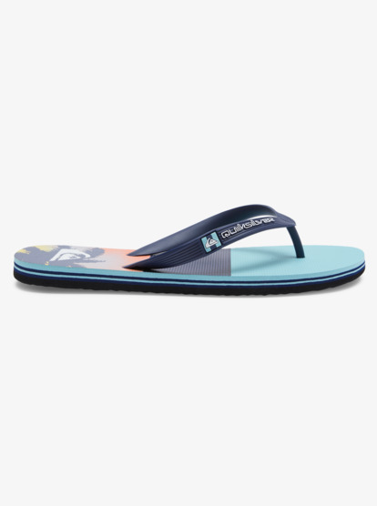 Molokai Panel - Flip-Flops for Men  AQYL101263