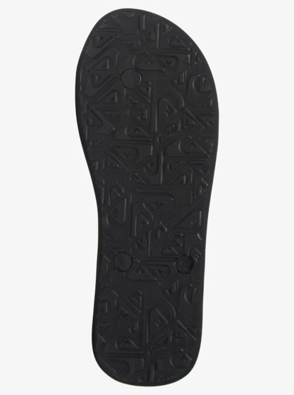 Molokai Panel - Flip-Flops for Men  AQYL101263