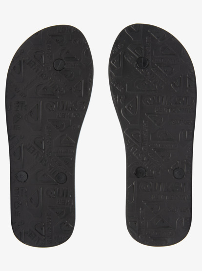Molokai Panel - Flip-Flops for Men  AQYL101263