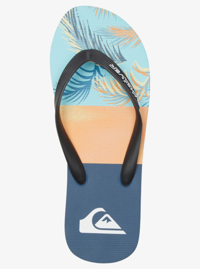Molokai Panel - Flip-Flops for Men  AQYL101263