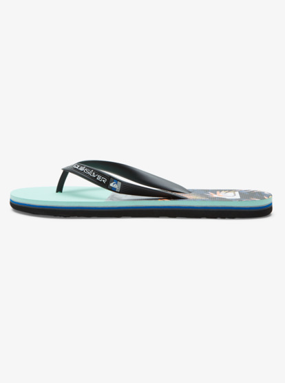Molokai Panel - Flip-Flops for Men  AQYL101263