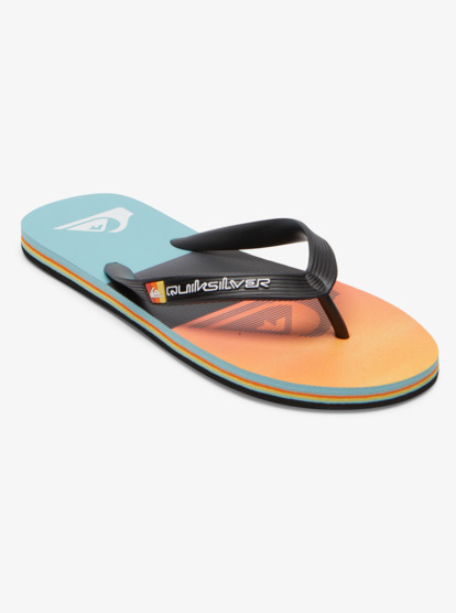 Molokai Panel - Flip-Flops for Men  AQYL101263