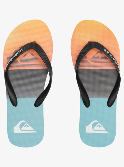 Molokai Panel - Flip-Flops for Men  AQYL101263