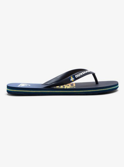 Molokai Art Gregg Kaplan - Flip-Flops for Men  AQYL101264