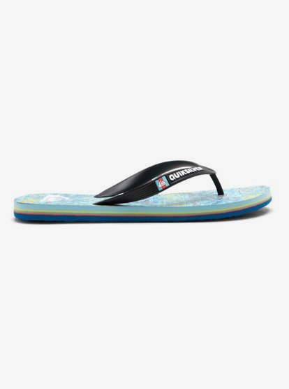 Molokai Art Gregg Kaplan - Flip-Flops for Men  AQYL101264
