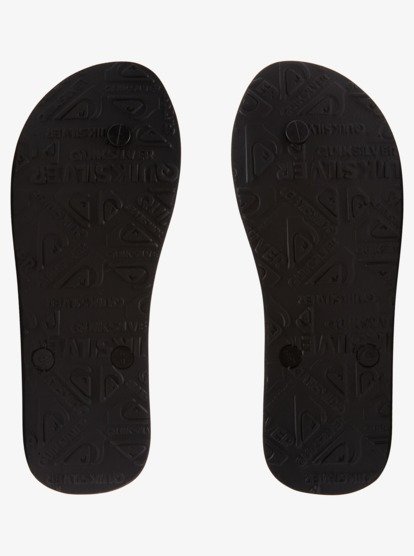 Molokai Art Gregg Kaplan - Flip-Flops for Men  AQYL101264