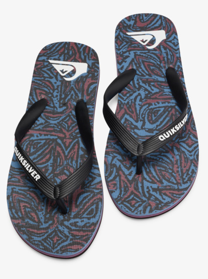 Molokai Art Gregg Kaplan - Flip-Flops for Men  AQYL101264