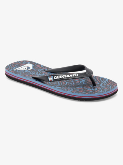 Molokai Art Gregg Kaplan - Flip-Flops for Men  AQYL101264