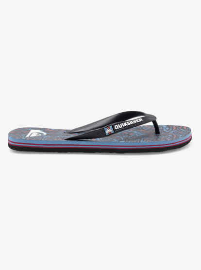 Molokai Art Gregg Kaplan - Flip-Flops for Men  AQYL101264