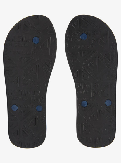 Molokai Art Gregg Kaplan - Flip-Flops for Men  AQYL101264