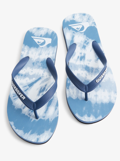 Molokai Art Gregg Kaplan - Flip-Flops for Men  AQYL101264