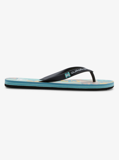 Molokai Art Gregg Kaplan - Flip-Flops for Men  AQYL101264
