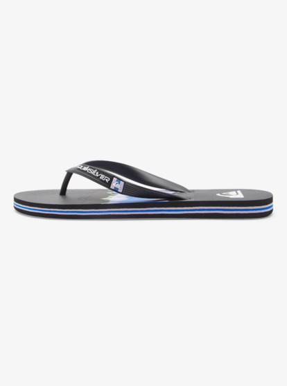 Molokai Art Gregg Kaplan - Flip-Flops for Men  AQYL101264