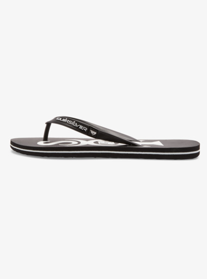 Molokai Art Gregg Kaplan - Flip-Flops for Men  AQYL101264