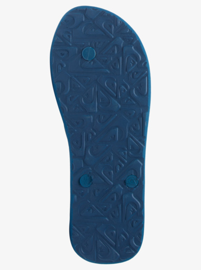 Molokai Art Gregg Kaplan - Flip-Flops for Men  AQYL101264