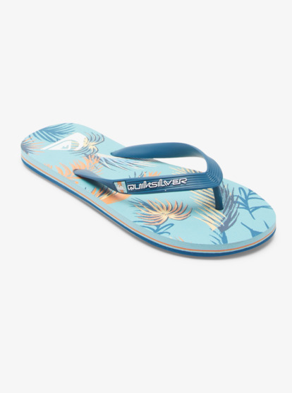 Molokai Art Gregg Kaplan - Flip-Flops for Men  AQYL101264