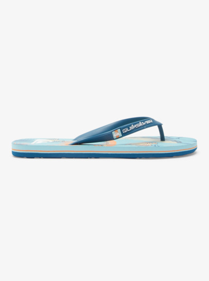 Molokai Art Gregg Kaplan - Flip-Flops for Men  AQYL101264