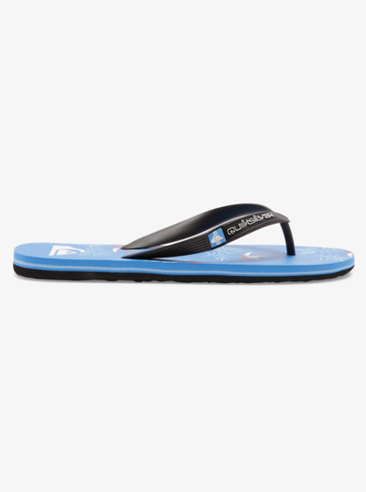 Molokai Art Gregg Kaplan - Flip-Flops for Men  AQYL101264
