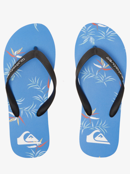 Molokai Art Gregg Kaplan - Flip-Flops for Men  AQYL101264