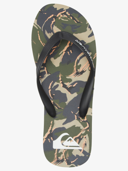 Molokai Art Gregg Kaplan - Flip-Flops for Men  AQYL101264