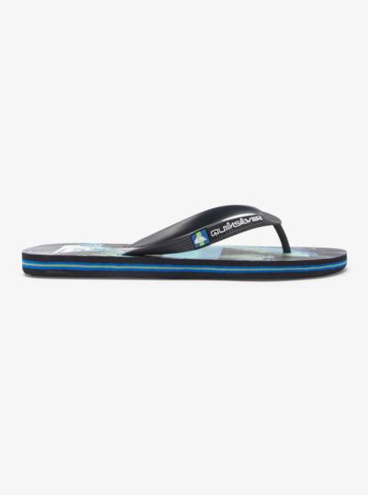 Molokai Art Gregg Kaplan - Flip-Flops for Men  AQYL101264