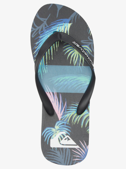 Molokai Art Gregg Kaplan - Flip-Flops for Men  AQYL101264