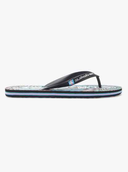 Molokai Art Gregg Kaplan - Flip-Flops for Men  AQYL101264