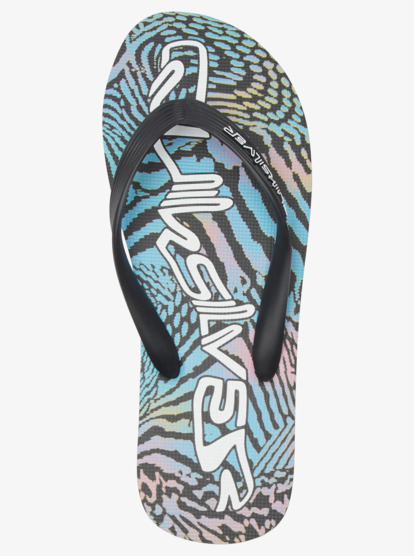 Molokai Art Gregg Kaplan - Flip-Flops for Men  AQYL101264