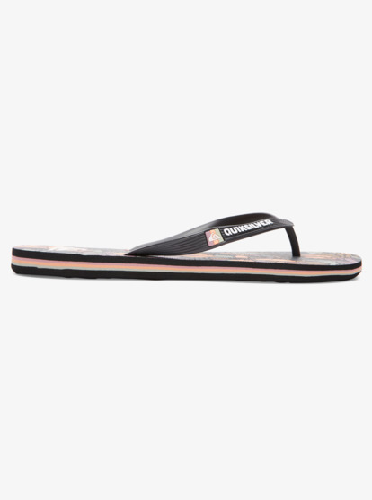 Molokai Art Gregg Kaplan - Flip-Flops for Men  AQYL101264
