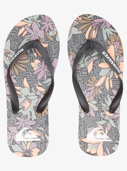 Molokai Art Gregg Kaplan - Flip-Flops for Men  AQYL101264