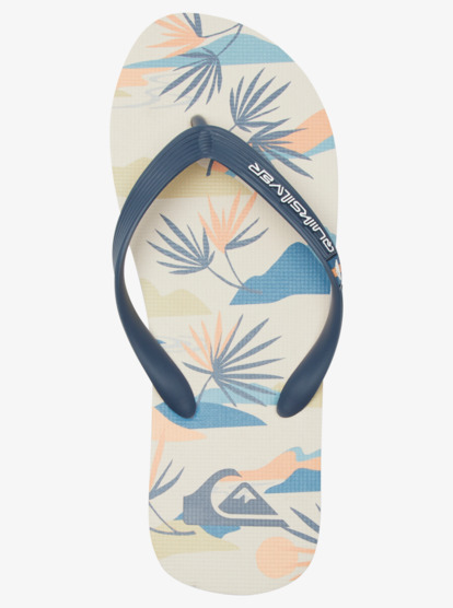 Molokai Art Gregg Kaplan - Flip-Flops for Men  AQYL101264