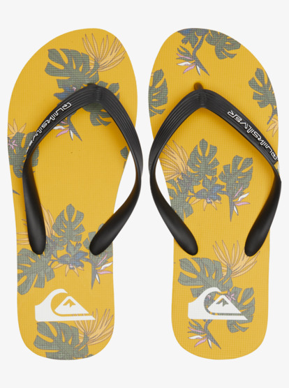 Molokai Art Gregg Kaplan - Flip-Flops for Men  AQYL101264