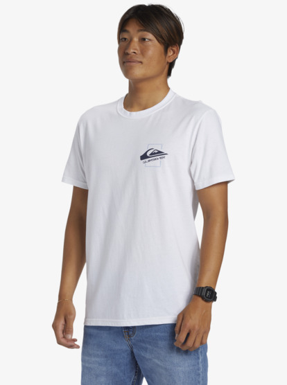 QUIK MOVES MT0  AQYZT09237