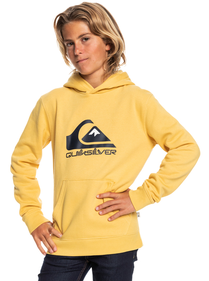Big Logo - Hoodie for Boys  EQBFT03720