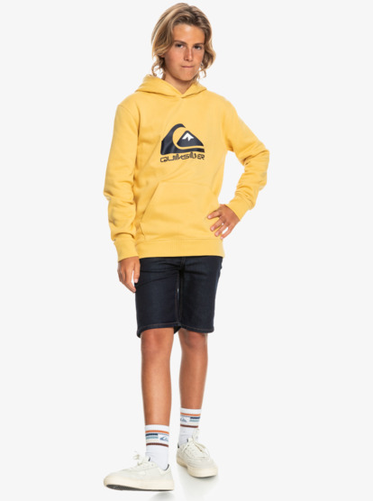 Big Logo - Hoodie for Boys  EQBFT03720