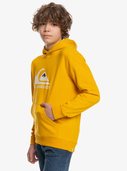 Big Logo - Hoodie for Boys  EQBFT03720