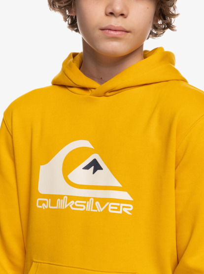 Big Logo - Hoodie for Boys  EQBFT03720