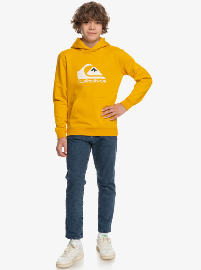 Big Logo - Hoodie for Boys  EQBFT03720